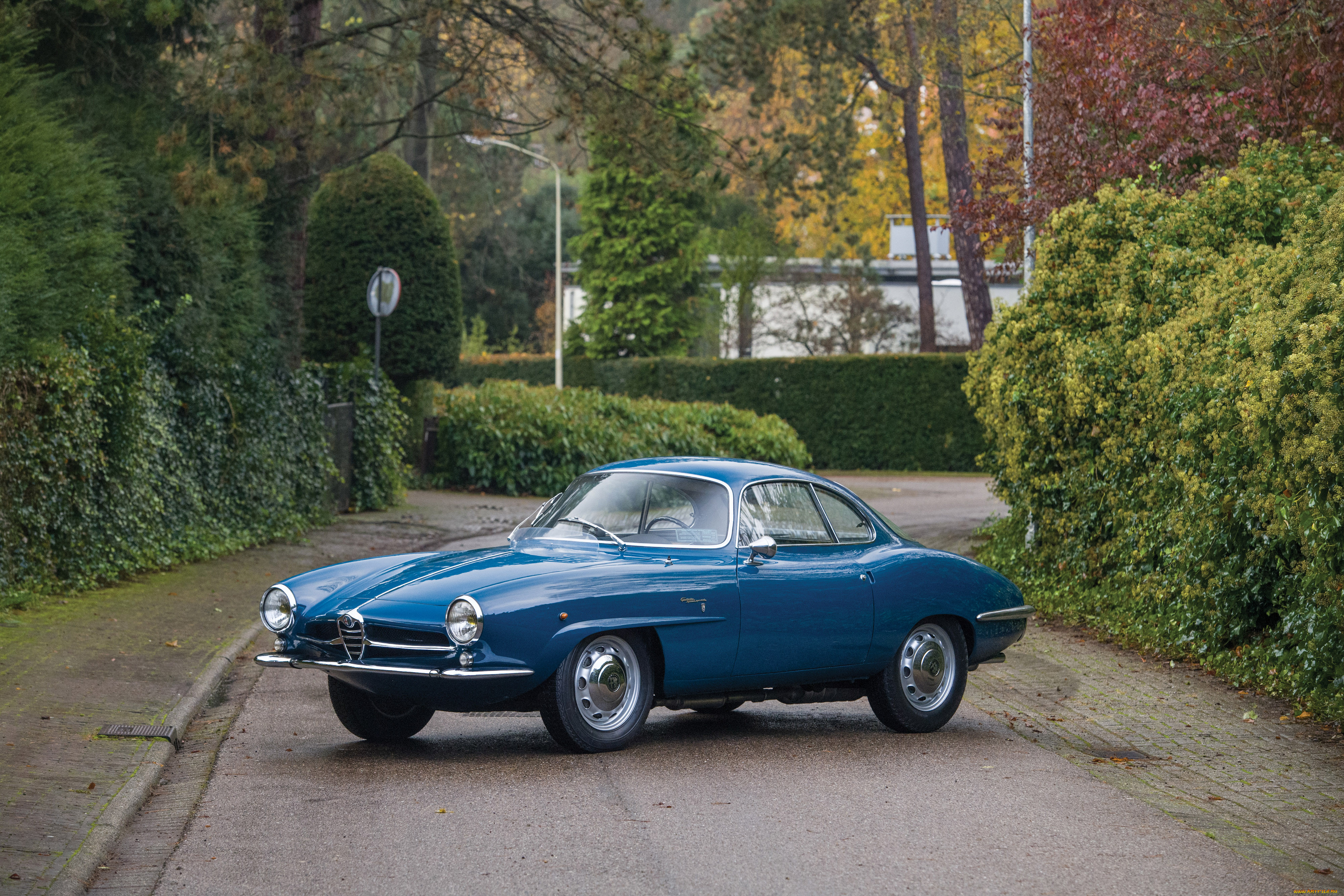 , alfa romeo, alfa